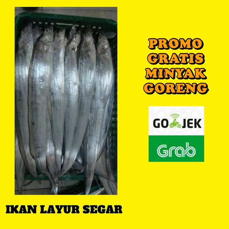 

IKAN LAYUR SEGAR 500 GRAM