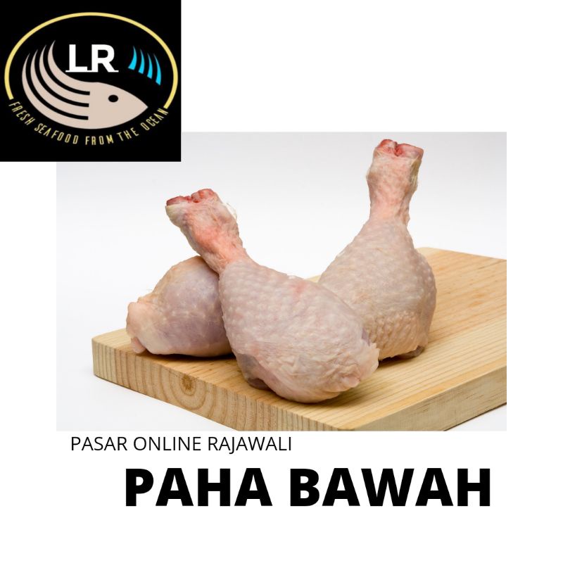 

PAHA BAWAH SEGAR