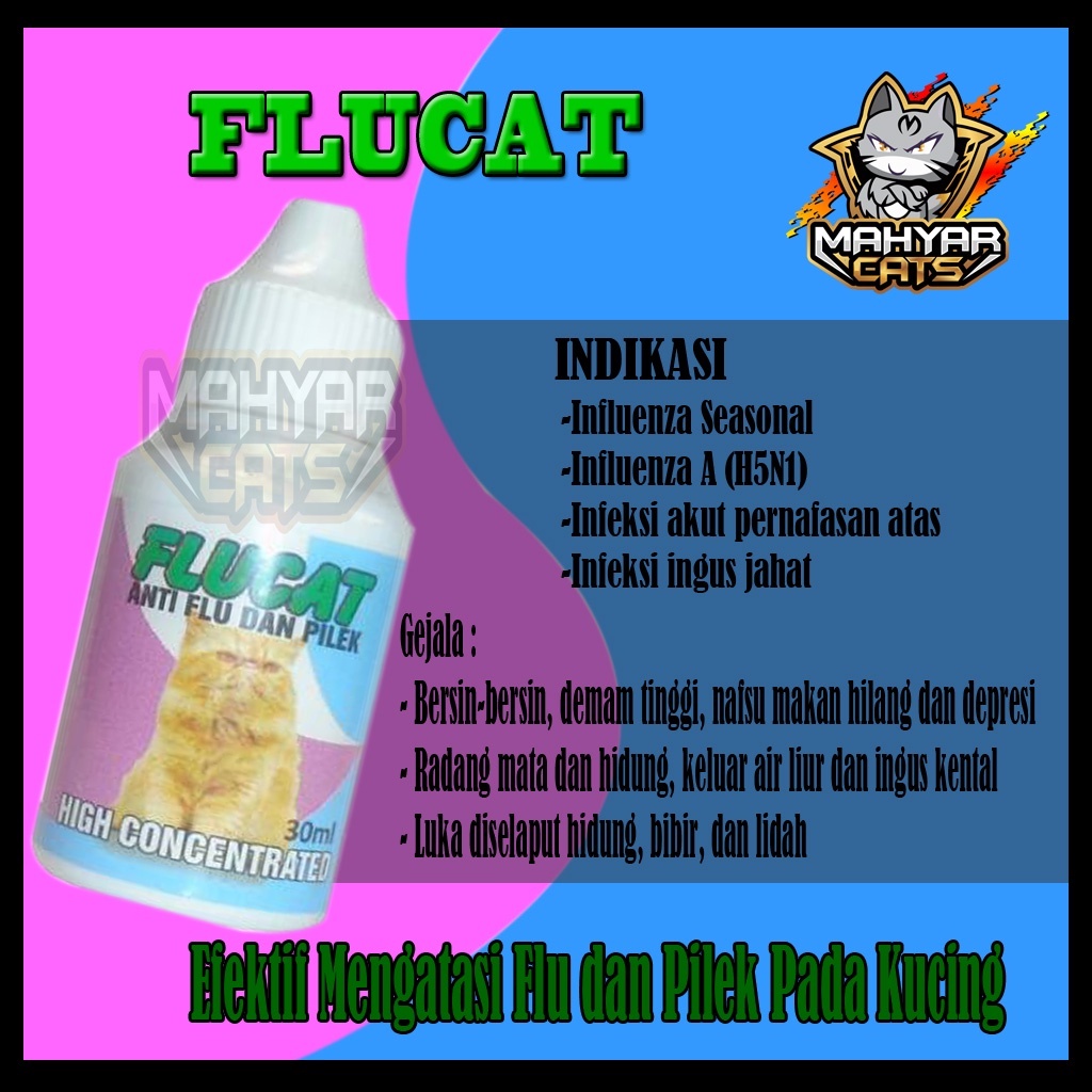 FLUQITA Obat flu Kucing obat flu batuk kucing Anti Flu Pilek Beler Bersin Kitten Cat 30ml obat kucing flu ampuh obat batuk kucing ampuh 30 ml