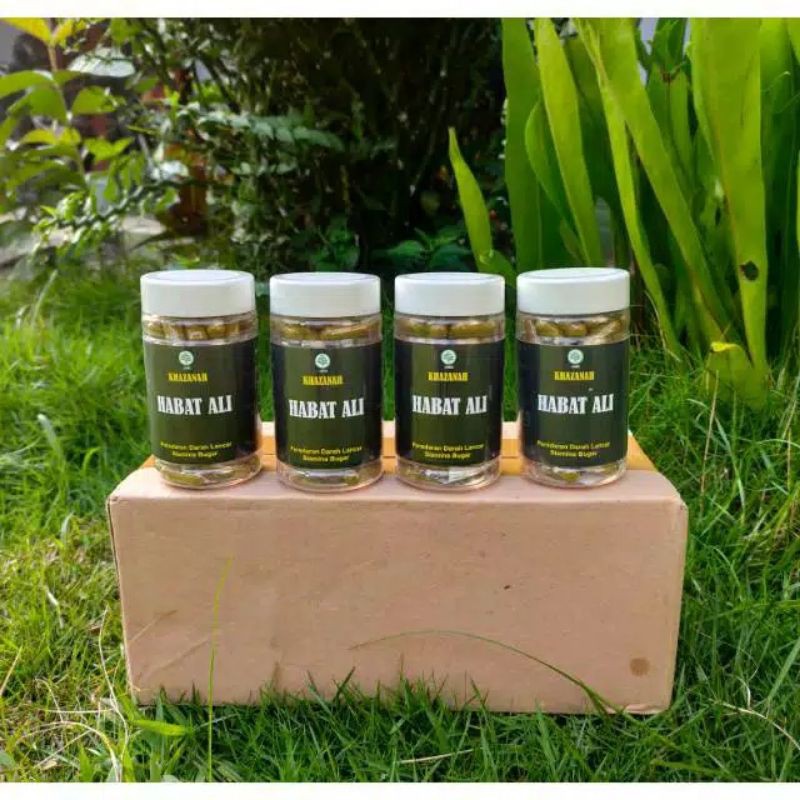 

Jamu Kapsul Habat Ali ( 80 Kapsul )