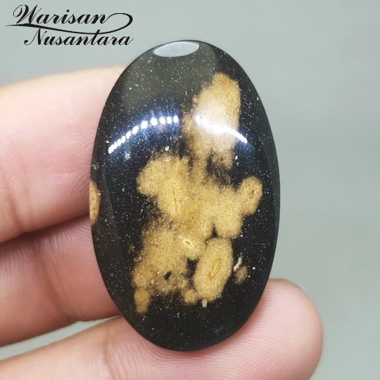 

Permata Fosil Batu Galih Kelor Coklat Hitam Coklat Asli