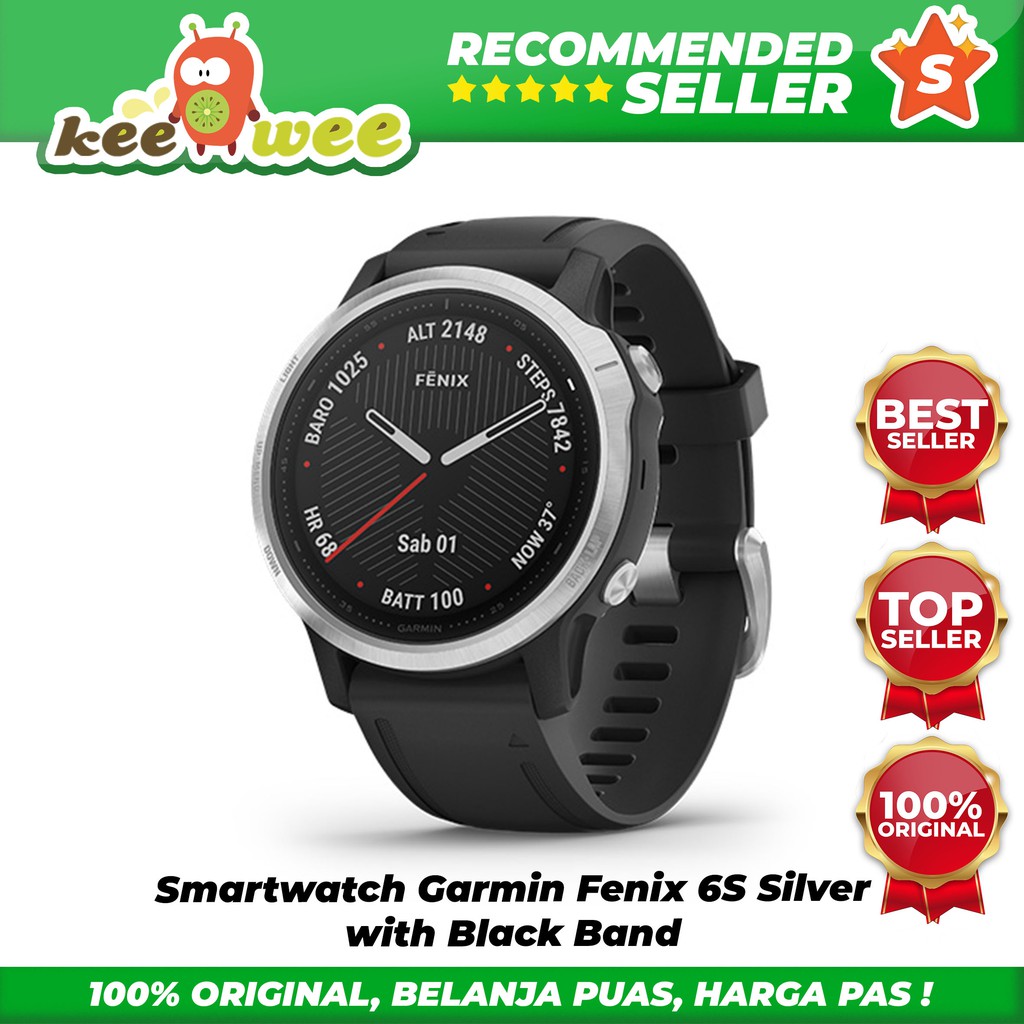 Smartwatch Garmin Fenix 6S Silver with Black Band
