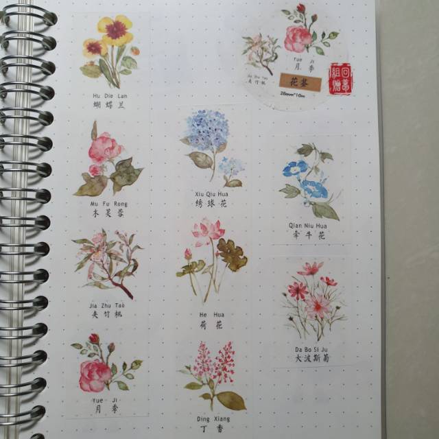 

washi tape sample for scrapbook and journal ( per meter )