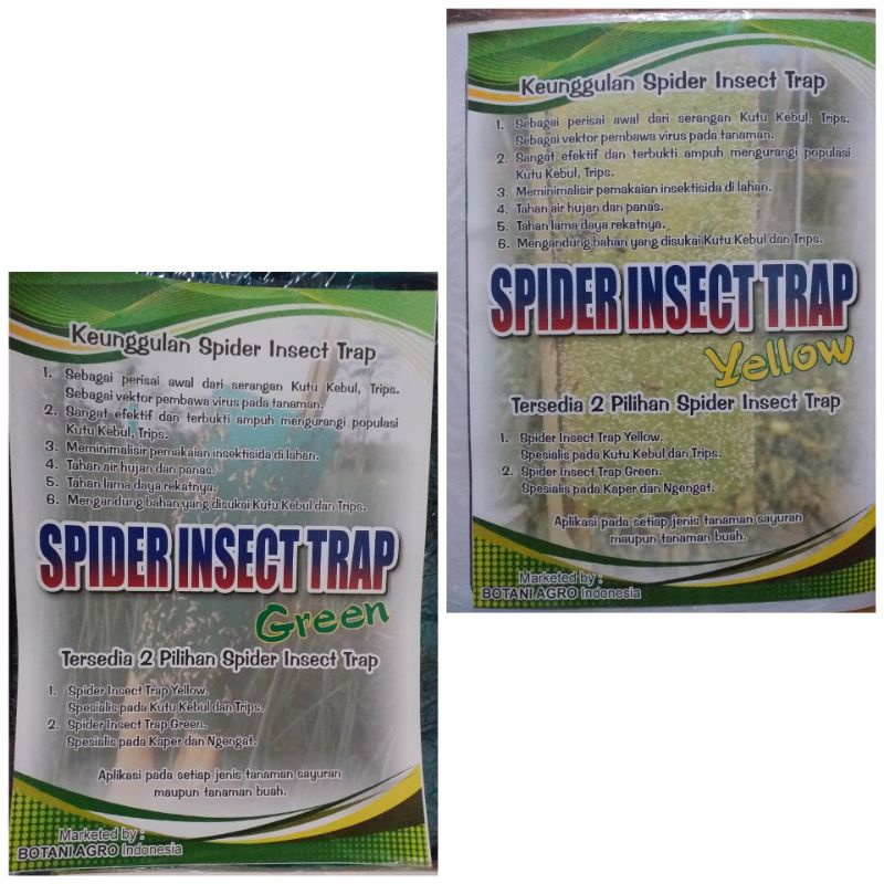 Spider Insect Trap