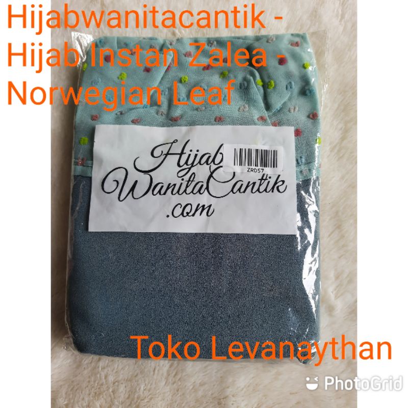 HWC Hijab Wanita Cantik Hijabwanitacantik - Hijab Instan Zalea (ready norwegian leaf)