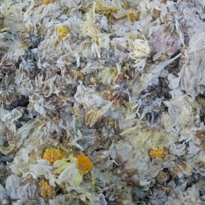 

TERBARU TEH KEMBANG/TEH KRISAN 50GR BUAT PANAS DALAM TERBAIK