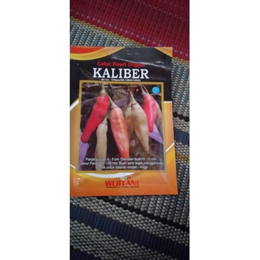 benih cabe  KALIBER
