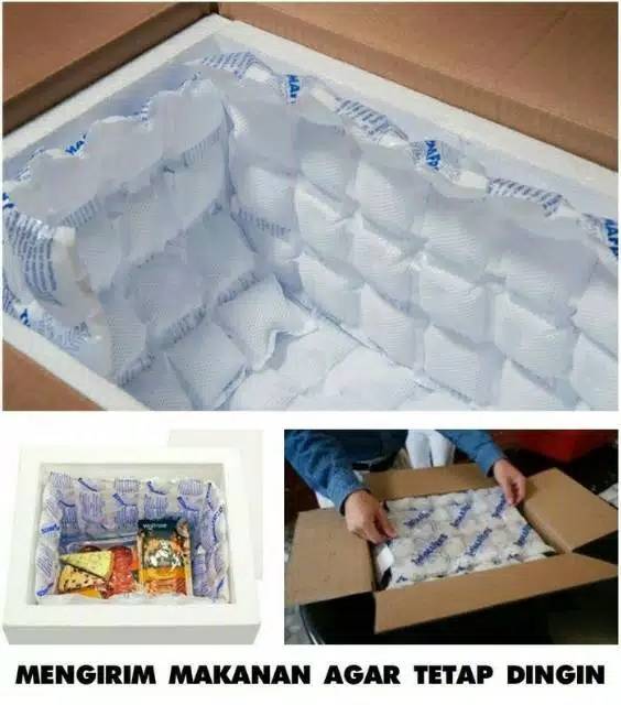 Thermafreezze THERMAFREEZE ICE GEL - Therma PENDINGIN COOLERBOX / thermafreeze ukuran besar S1