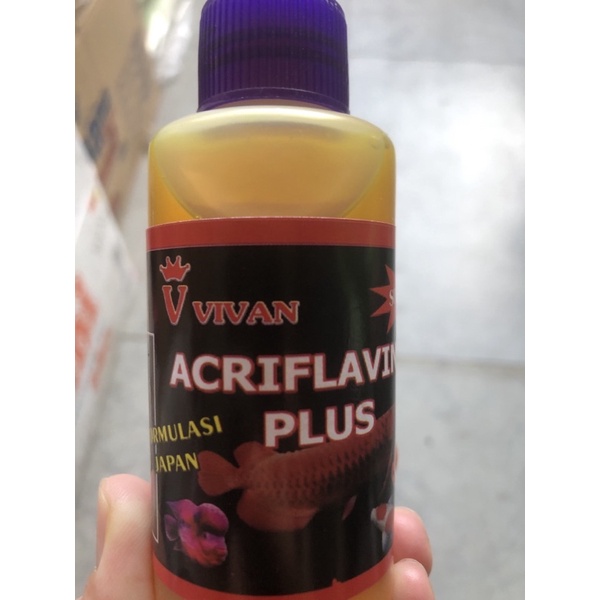 ACRIFLAVINE PLUS, OBAT IKAN ANTI STRESS OBAT KUNING