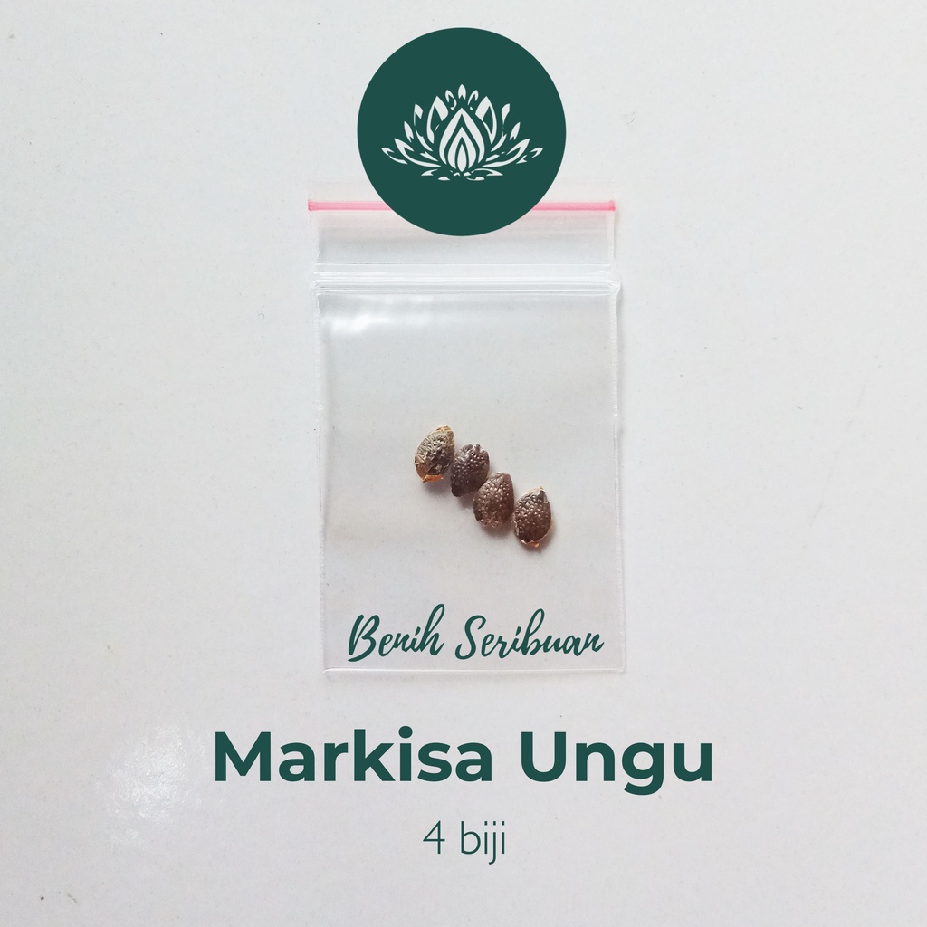 4 Benih Bibit Buah Markisa Ungu Manis Super Tanaman Buah Buahan Markisa Madu Premium Berkualitas Unggul