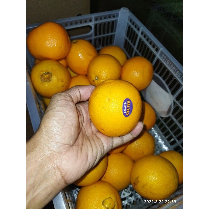 Promo Jeruk Sunkist Navel Mesir