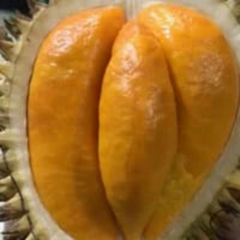 Buah Lai / buah lay / buah kalimantan / durian lay