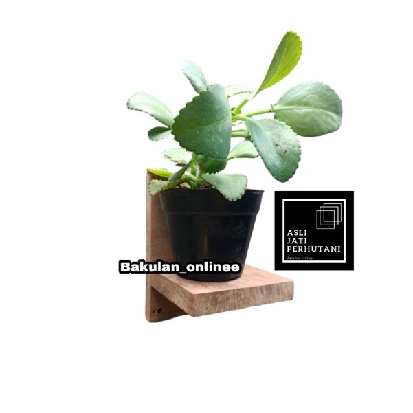 RAK GANTUNG / RAK DINDING / STANDING POT KAYU / TATAKAN POT KAYU / RAK KAYU / POT BUNGA / TEMPEL / R
