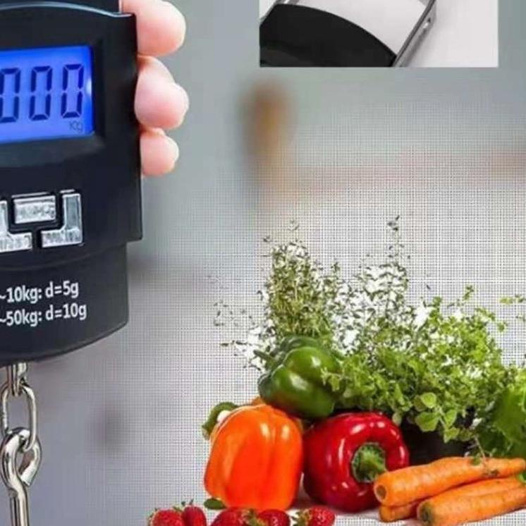 Timbangan Gantung Digital Scale 50 KG