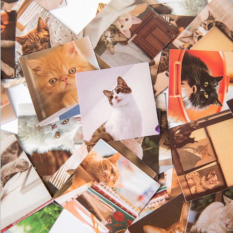 

[PER BOX] Stiker Aesthetic Tumblr Deco Scrapbook Bujo Diary DIY The Cats