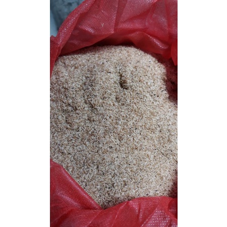 

telur jangkrik alam
