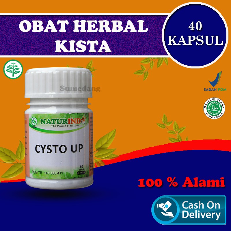 CYSTO UP Obat Herbal Kista Dan Miom Dengan Gejala Mudah Lelah Nyeri Bab Beser Perut Kembung-5