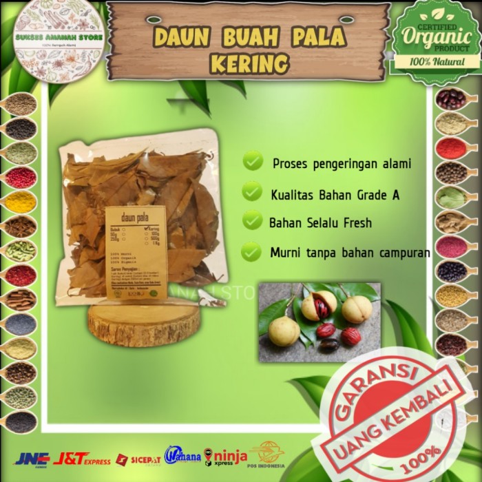 

DAUN BUAH PALA POLO KERING 500 GRAM Myristica Fragrans