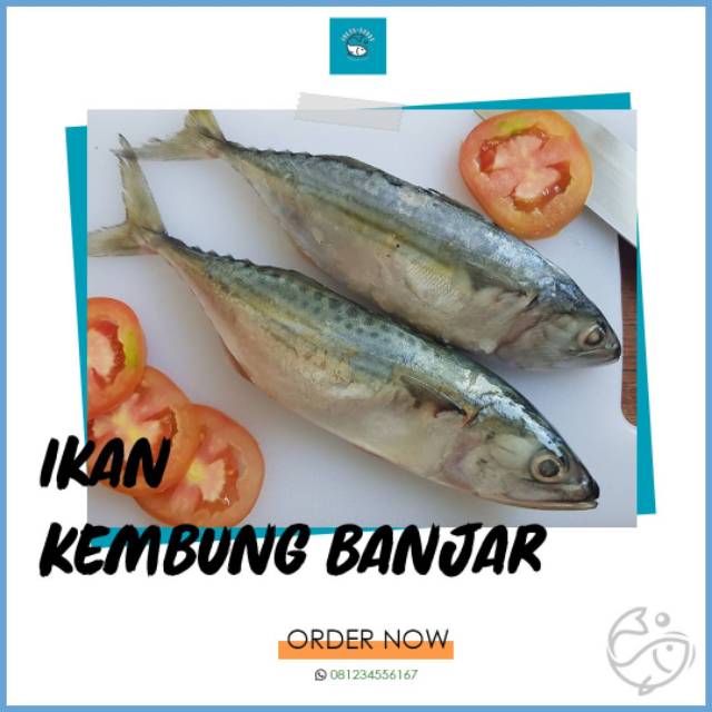 

Ikan kembung banjar