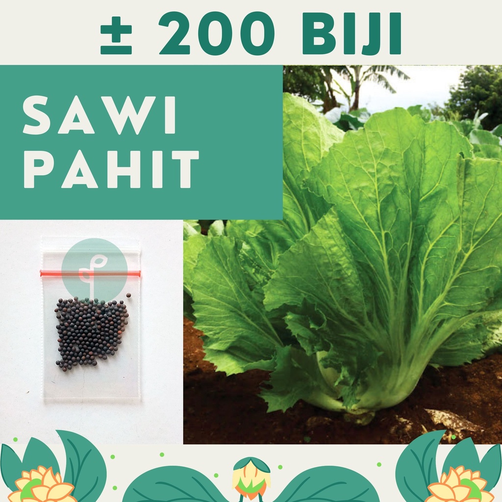 Bibit Sayuran Benih Sayur Paket Lengkap Hidroponik Kangkung Bayam Cabe Sawi Selada Terong Tomat dll-SAWI PAHIT