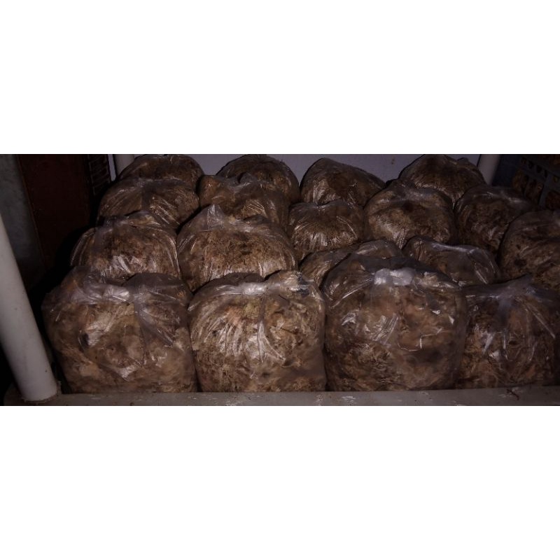 MOS putih media taman anggrek 100 gr