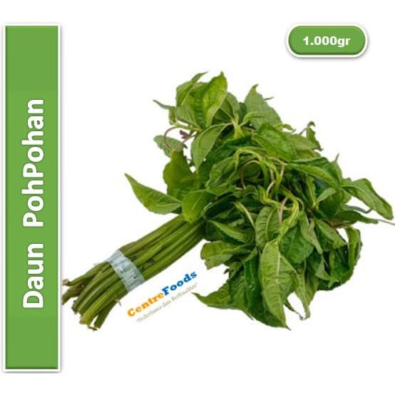 

Daun Popohan - PohPohan Fresh | 1.000gr [ Harga Per KG ]