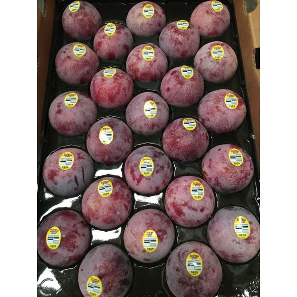

plum queen garnet USA manis | buah plum merah import | 500 grm