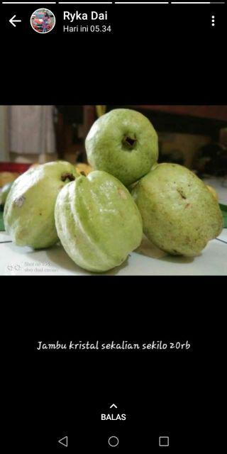 Sunlight Jeruk Nipis 755ml 755 Ml