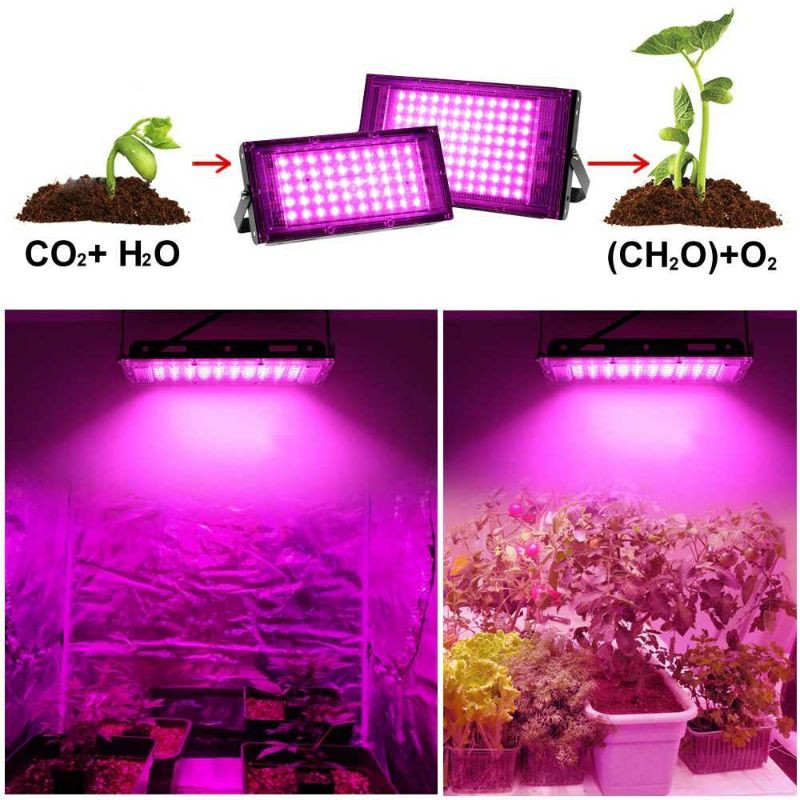 50w Full Spectrum Lampu Tanaman LED Grow Light Lamp Hydroponic Plant Growth