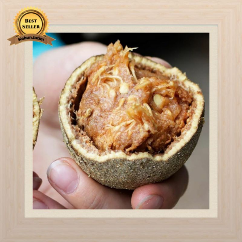 Tanaman buah kawista