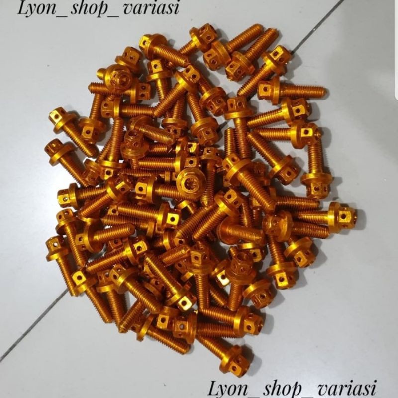 Baut probolt plat nomor drat 10
