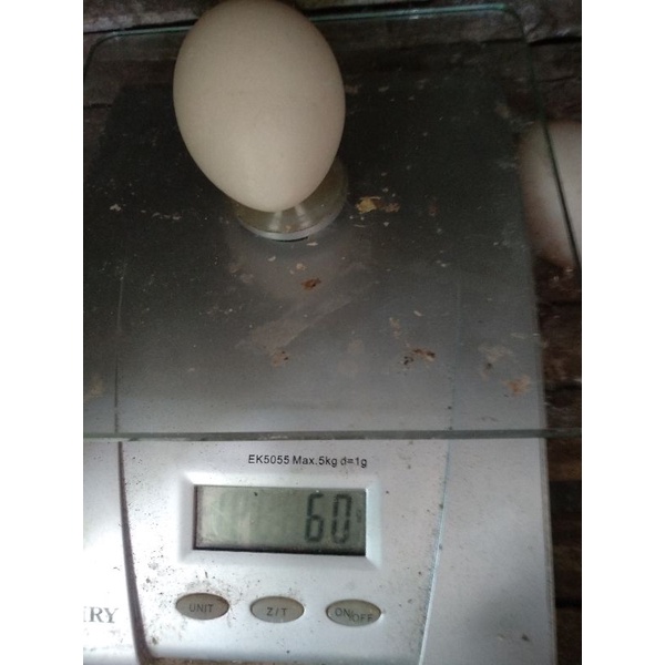 TELUR TETAS AYAM BANGKOK+PAKHOY