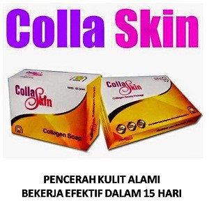 

Colla Skin (Pencerah Kulit Alami 100% Herbal) PT Natural Nusantara