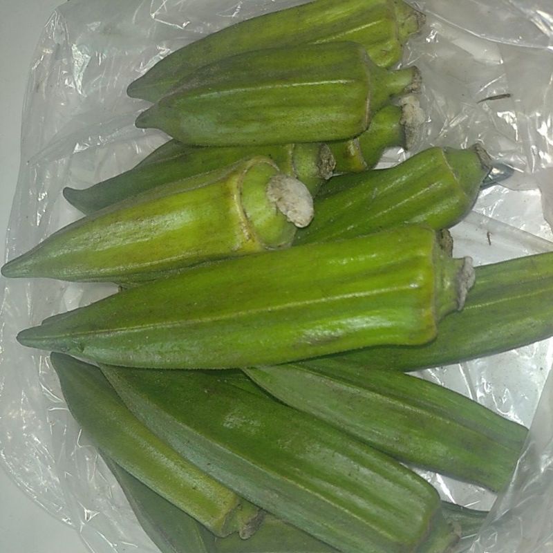 

Gumbo Bendi Okra hijau segar