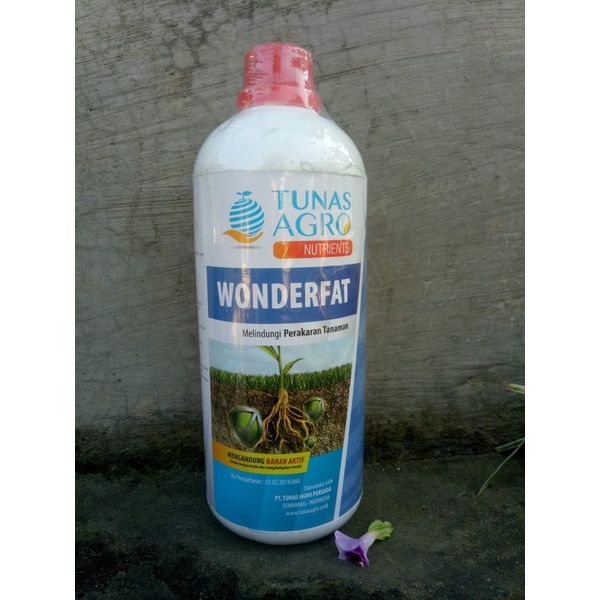 Nutrisi WONDERFAT TUNAS AGRO pelindung akar dan memperbaiki tanah