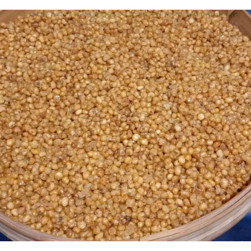 

Jagung Palotan Khas Pulau Kangean Madura