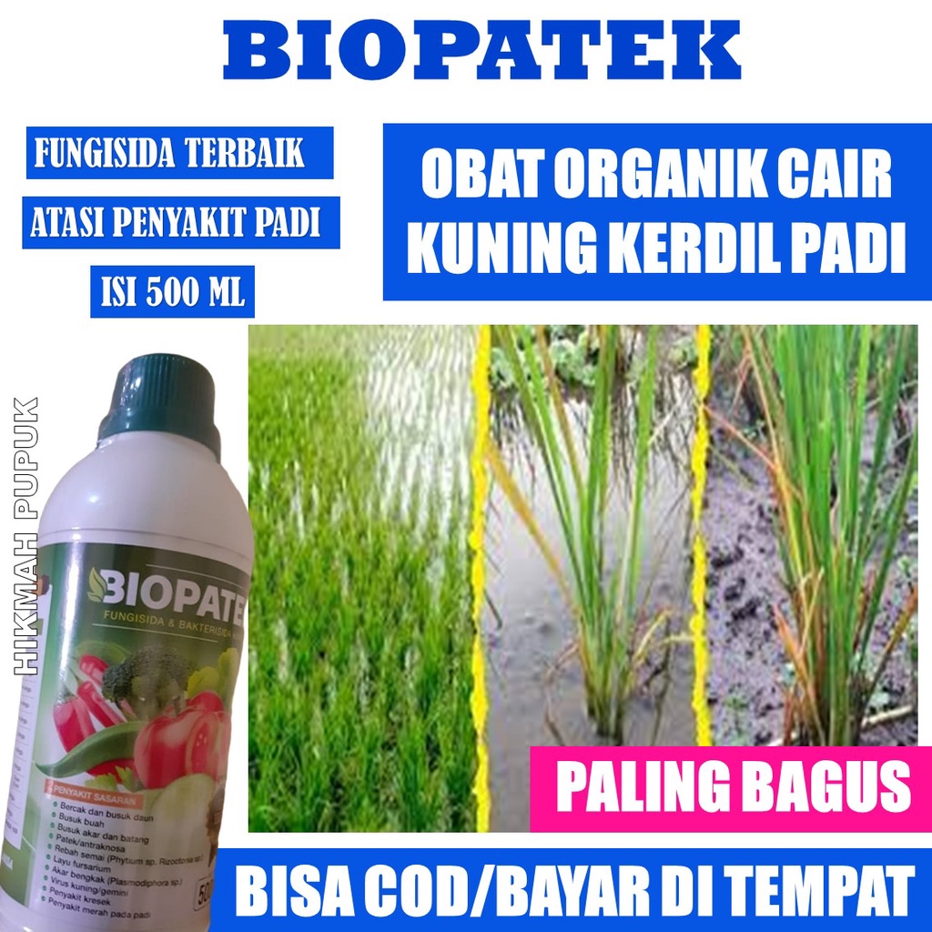 {PUPUK KUNING KERDIL} BIOPATEK Obat Kuning Kerdil Rumput Tanaman Padi Isi 500 ML BIOPATEK, Obat Orga