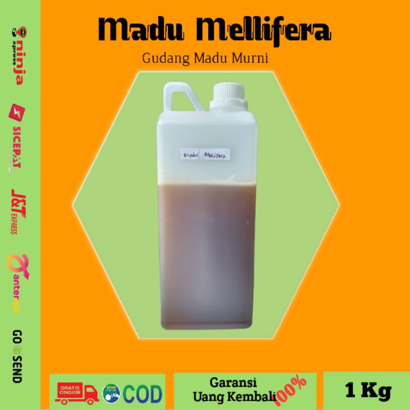 

Madu Murni Hutan Mellifera Asli dari Petani Madu Premium Raw Honey Madu Asli 100%