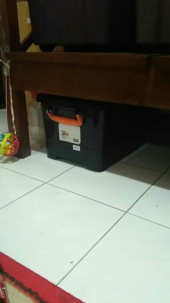 Box Container 30 L Hitam + Roda