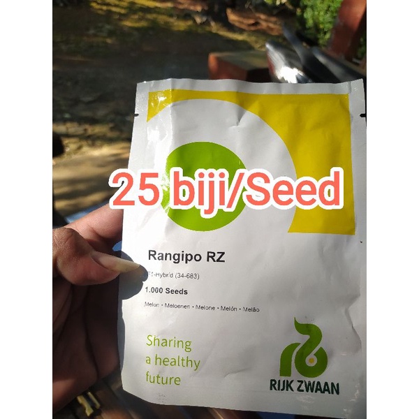 benih RZ Rangipo kemasan 25 biji/seed Repack murah
