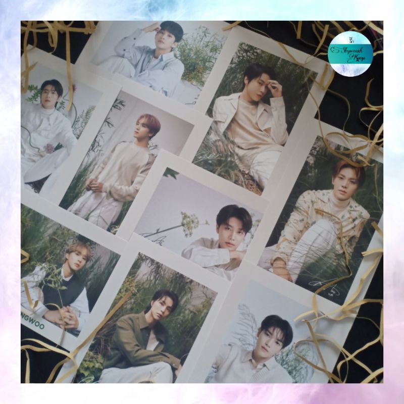NCT 127 Nature Republic Postcard Cica Garden