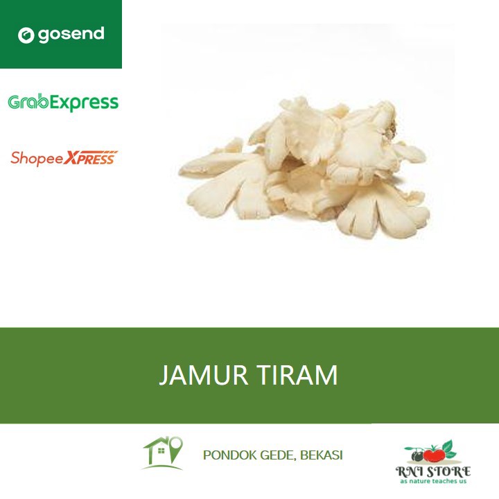 

Sayuran - Jamur Tiram 250 gram