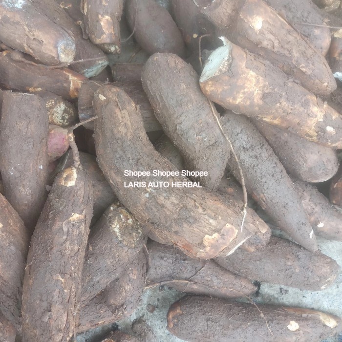 

Cassava FROM INDONESIAN FARMERS