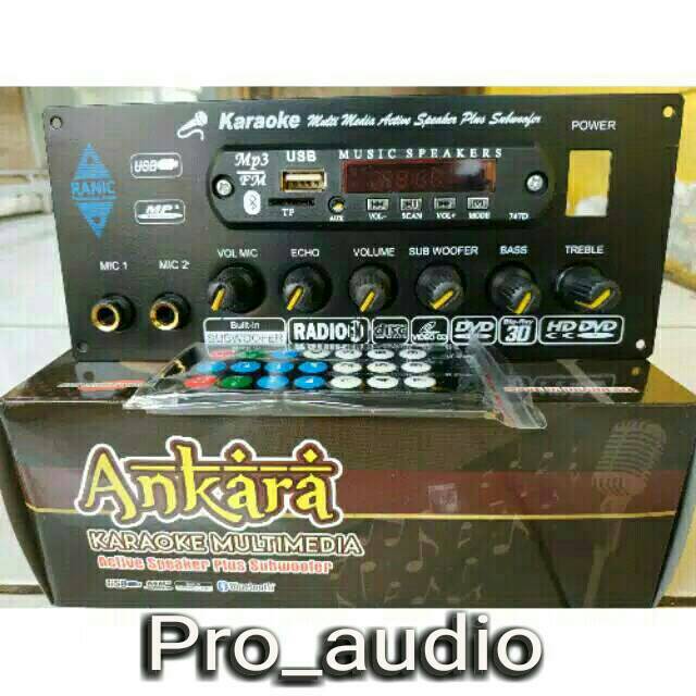 Kit aktif speaker echo mic usb bluetooth stereo karaoke