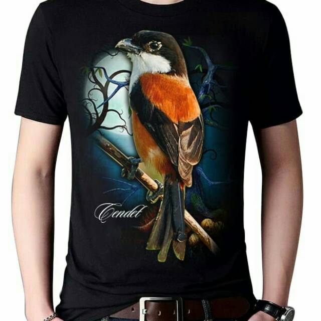 Kaos Cowok Keren Gambar Burung Cendet Bulan Xl Combed Kaos Distro
