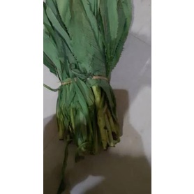 ✾ SAYUR FUMAK ➸