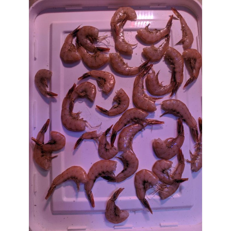 Udang Vaname Kering Pakan Predator Channa Arwana Pbass