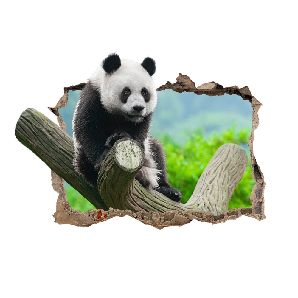 25 Trend Terbaru Dekorasi  Kamar  Panda  Fatiha Decor
