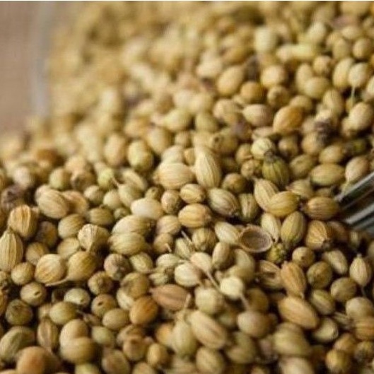 

Biji Ketumbar Sulawesi / 50gr / Ketumbar Super