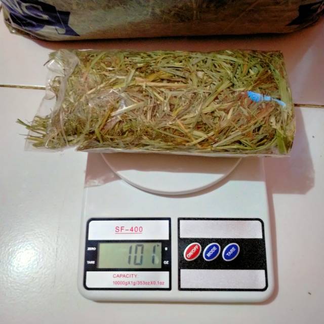 RUMPUT KELINCI HAY KING ALFAFA